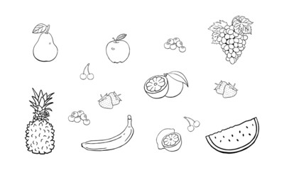 Hand Drawn Fruit illustration set, ink sketch vector drawing, Black and White Doodle style vector illustration