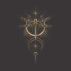 Fototapeta na wymiar Vector mystic celestial sticker a with golden outline insect, stars and crescents. Black occult shiny label with a magical dragonfly stylized as engraving. Linear sketch tattoo