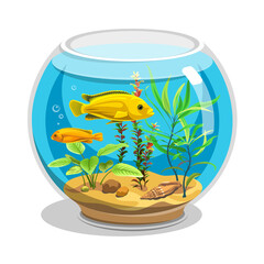 Vector aquarium. Gold fish with water, seaweed, shell. Colorful cartoon pet for your design. Illustration of underwater life