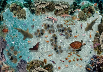 Schilderijen op glas Underwater world. View from above. Corals. Fish. Turtle. Sharks © Екатерина Кузьменков