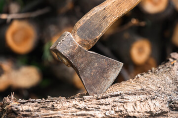 Old rusty ax with a wooden handle in a log