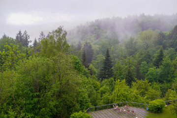 Forest areas in Germany photographed in the spring month of May