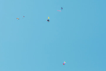 A group of parachutists in a clear blue sky with colored bright parachutes.