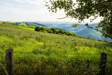 Prairie bocagère surplombant la vallée du Dourdou, Aveyron, Occitanie, France