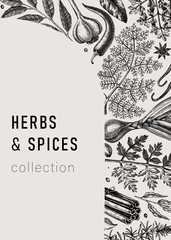 Hand-drawn herbs and spices vintage card. Hand-sketched food vector illustration. Aromatic plant drawings. Kitchen herbs and spice frame arc template in sketched style for invitation, menu, banners