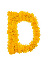 The English alphabet of dandelion flowers is isolated on a white background. Letter D