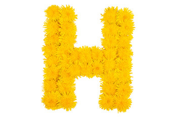 The English alphabet of dandelion flowers. Letter H