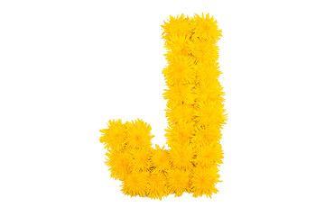The English alphabet of dandelion flowers. Letter J