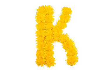 The English alphabet of dandelion flowers. Letter K