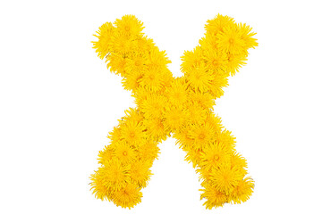 The English alphabet of dandelion flowers. Letter X