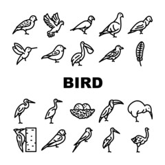 Naklejka premium Bird Flying And Eggs In Nest Icons Set Vector. Toucan And Eagle, Crane And Pelican, Sparrow And Stork Flight Bird. Hummingbird And Woodpecker Wildlife In Nature Black Contour Illustrations