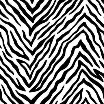 Vector animal pattern with zebra skin. Monochrome seamless pattern with dense stripes. Black and white tiger skin texture.