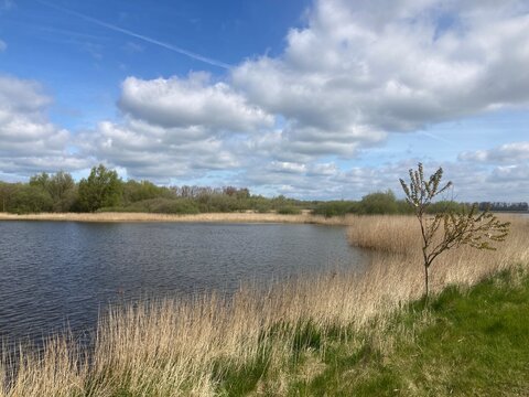 Katinger Watt, Natur, Nordsee, Naturschutz, Teich, See Wolken, Schleswig-Holstein Norden, sonnig, wolkig, Ufer, Schilf, Himmel