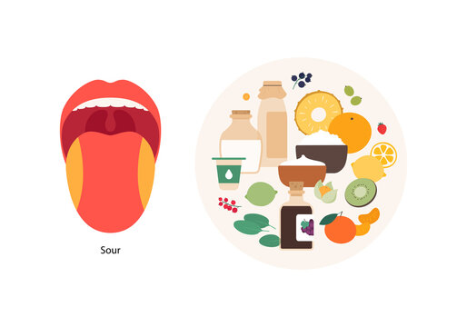 Human five taste infographic. Vector flat modern illustration. Tongue zone map. Sour meal plate product icon set isolated on white background. Fruit, berry, dairy product.