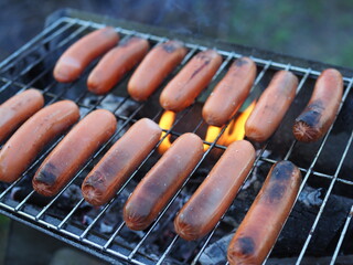Sausages grilled, outdoor recreation. Portable barbecue