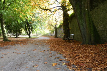 Bench in Kilkenny Castle park