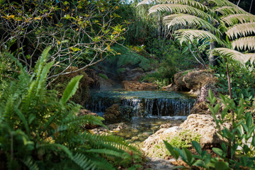 Beautiful Waterfall in the forest