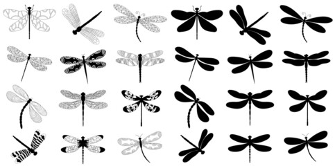 set of dragonfly black silhouette on white background, isolated, vector - obrazy, fototapety, plakaty