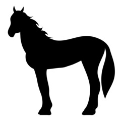 horse silhouette on white background, isolated, vector
