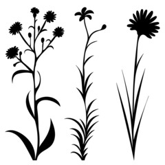plants silhouette on white background, isolated, vector