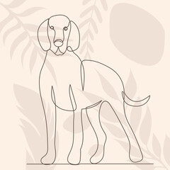 dog drawing in one continuous line, on an abstract background sketch, isolated