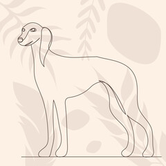 Fototapeta premium dog drawing in one continuous line, on an abstract background sketch