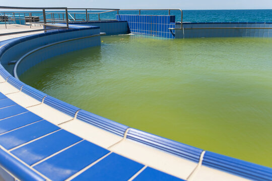 Abandoned swimming pool with dirty green algae water