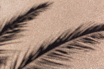 Dark shadow reflection of palm tree leaves on city street asphalt road