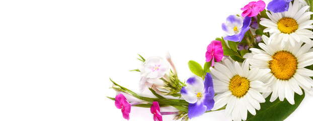 Flower arrangement of daisies, phloxes and violets isolated on white . Place for your text. Wide...