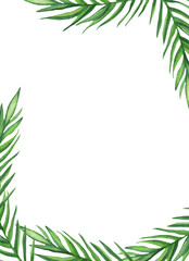 Palm leaves background. Tropical greeting card.