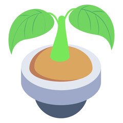 Plant Pot