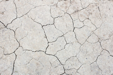 Texture of light cracked earth, cracks in the ground, top view