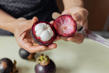 Ripe mangosteen in the hands of a housewife Asian woman Ready to eat fresh mangosteen