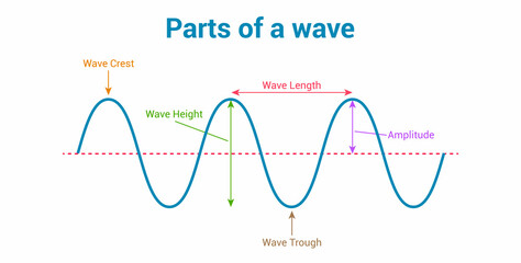 label the parts of a wave vector illustration isolated on white background