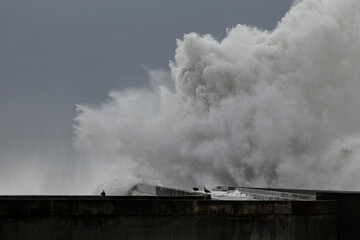 Big wave splash