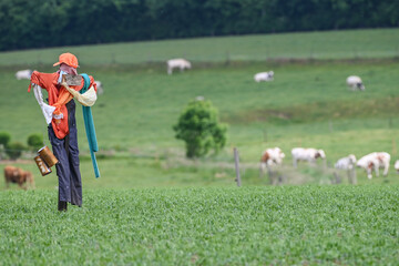 agriculture environnement culture agricole wallonie farming ferme planete climat terre epouvantail vent semer recolte vert bio ruralite campagne