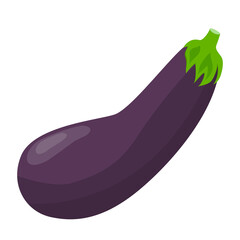 purple aubergine isolated on white background, flat design vector illustration