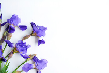 White background with a bouquet of purple irises on the side. Top view, copy space