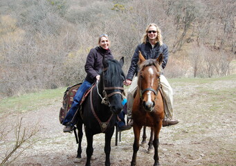 persons riding a horse