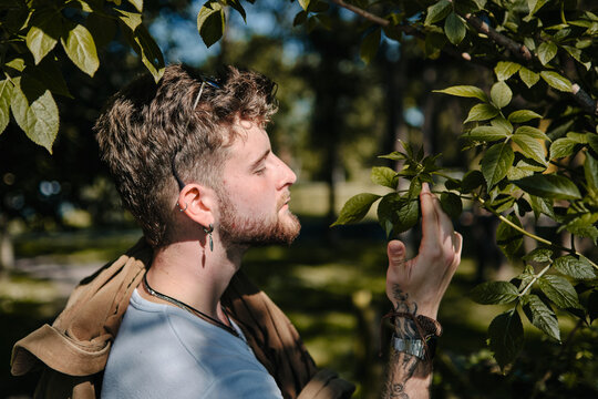 Portrait of a young blond man smelling some green leaves in a park in spring