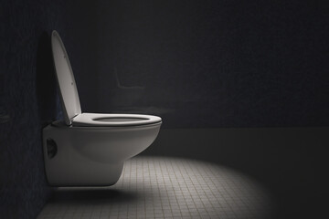 Toilet bowl with open lid. WC room