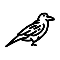 raven bird line icon vector. raven bird sign. isolated contour symbol black illustration