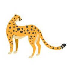 Cheetah illustration. Leopards or jaguars with tropical leaves and plants isolated on white