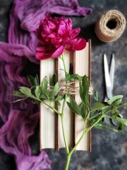 Branch of red peony on books tied with twine with vintage scissors, skein of twine and cloth on black concrete background with selective focus. Rustic flatlay with bouquet of summer flowers.