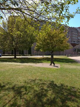 Bilbao, visita a sus parques y la torre Iberdrola. Espa&ntilde;a.