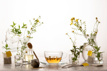 Botanical herbal tea, healthy beverage, organic ingredients
