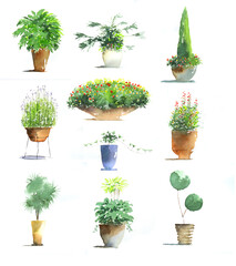 植物　プランター　水彩画