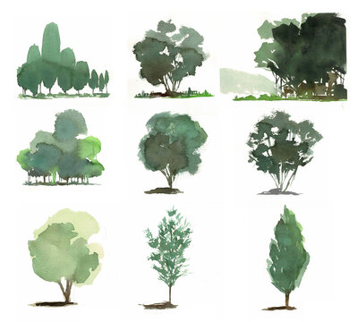 樹木　手描き水彩画　9種