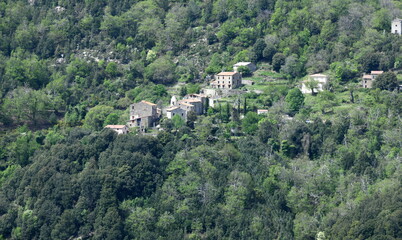 Fototapeta na wymiar Corse rurale