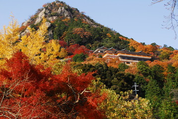滋賀・太郎坊宮の紅葉